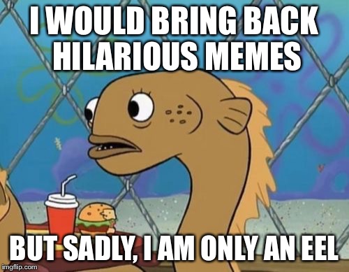 Sadly I Am Only An Eel Meme | I WOULD BRING BACK HILARIOUS MEMES BUT SADLY, I AM ONLY AN EEL | image tagged in memes,sadly i am only an eel | made w/ Imgflip meme maker