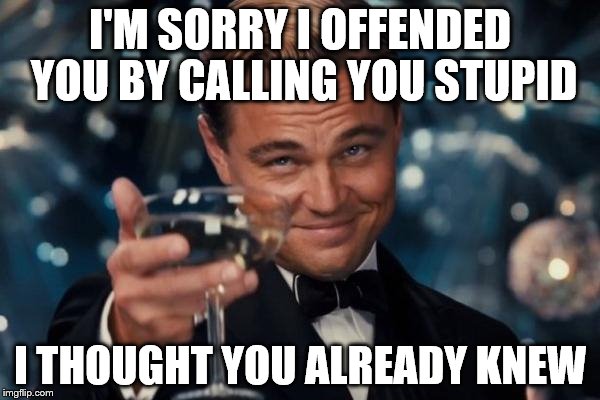 Leonardo Dicaprio Cheers Meme | I'M SORRY I OFFENDED YOU BY CALLING YOU STUPID I THOUGHT YOU ALREADY KNEW | image tagged in memes,leonardo dicaprio cheers | made w/ Imgflip meme maker