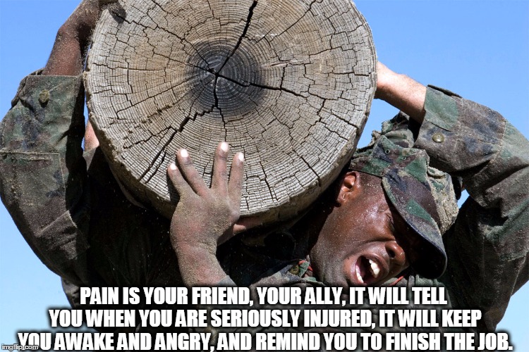 PAIN IS YOUR FRIEND, YOUR ALLY, IT WILL TELL YOU WHEN YOU ARE SERIOUSLY INJURED, IT WILL KEEP YOU AWAKE AND ANGRY, AND REMIND YOU TO FINISH  | image tagged in pain | made w/ Imgflip meme maker