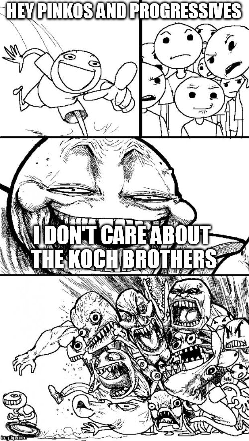 Seriously, STFU about them already, its getting old... | HEY PINKOS AND PROGRESSIVES I DON'T CARE ABOUT THE KOCH BROTHERS | image tagged in memes,hey internet,politics,democrats,progressives | made w/ Imgflip meme maker