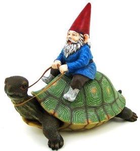 High Quality Gnome turtle Blank Meme Template