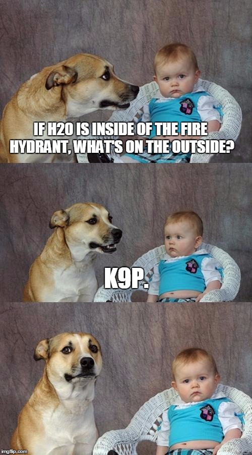 Dad Joke Dog Meme | IF H20 IS INSIDE OF THE FIRE HYDRANT, WHAT'S ON THE OUTSIDE? K9P. | image tagged in memes,dad joke dog | made w/ Imgflip meme maker