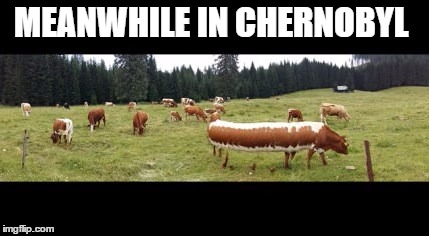 Meanwhile in Chernobyl | MEANWHILE IN CHERNOBYL | image tagged in meanwhile in,memes,chernobyl | made w/ Imgflip meme maker