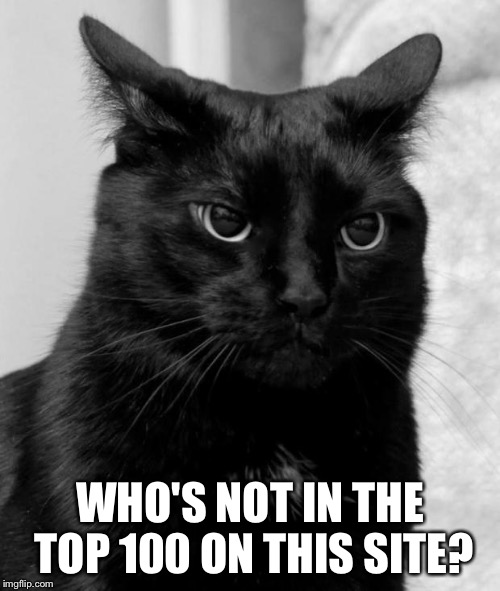 pissed cat | WHO'S NOT IN THE TOP 100 ON THIS SITE? | image tagged in pissed cat | made w/ Imgflip meme maker