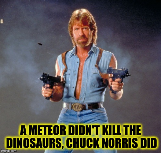 Chuck Norris Guns Meme | A METEOR DIDN'T KILL THE DINOSAURS, CHUCK NORRIS DID | image tagged in chuck norris,memes,insane,philosoraptor,dinosaurs,scumbag | made w/ Imgflip meme maker