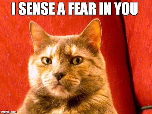Suspicious Cat Meme | I SENSE A FEAR IN YOU | image tagged in memes,suspicious cat | made w/ Imgflip meme maker