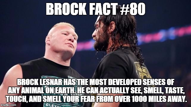 this is true. | BROCK FACT #80 BROCK LESNAR HAS THE MOST DEVELOPED SENSES OF ANY ANIMAL ON EARTH. HE CAN ACTUALLY SEE, SMELL, TASTE, TOUCH, AND SMELL YOUR F | image tagged in brock lesnar | made w/ Imgflip meme maker