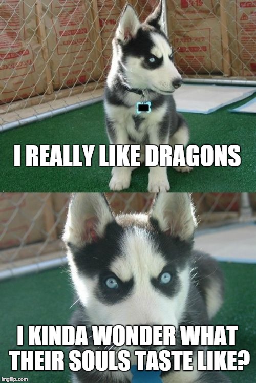 Insanity Puppy | I REALLY LIKE DRAGONS I KINDA WONDER WHAT THEIR SOULS TASTE LIKE? | image tagged in memes,insanity puppy | made w/ Imgflip meme maker