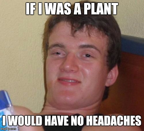 10 Guy | IF I WAS A PLANT I WOULD HAVE NO HEADACHES | image tagged in memes,10 guy | made w/ Imgflip meme maker