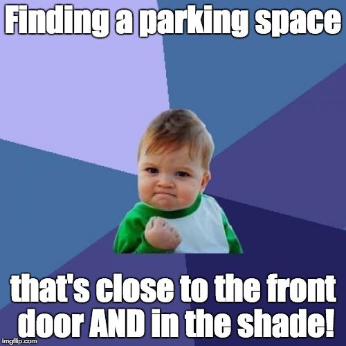 Success Kid Meme | Finding a parking space that's close to the front door AND in the shade! | image tagged in memes,success kid | made w/ Imgflip meme maker