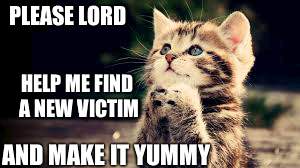 PLEASE LORD HELP ME FIND A NEW VICTIM AND MAKE IT YUMMY | image tagged in death cat | made w/ Imgflip meme maker