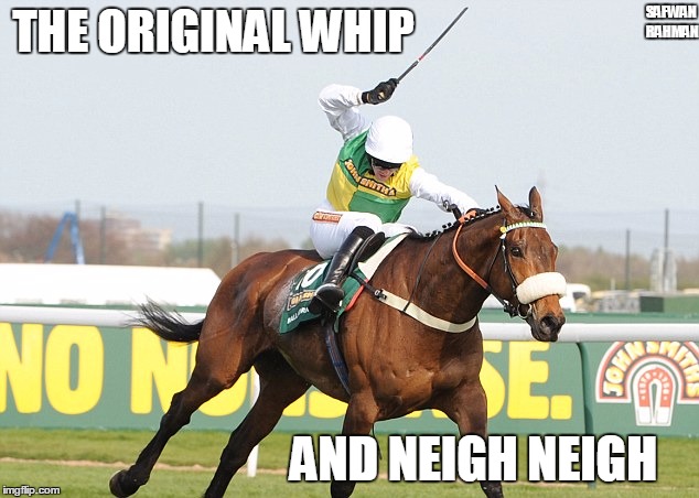 The Original Whip and Neigh Neigh | THE ORIGINAL WHIP AND NEIGH NEIGH SAFWAN RAHMAN | image tagged in whip,horse,original | made w/ Imgflip meme maker