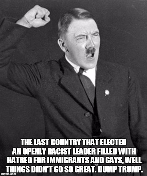 Angry Hitler | THE LAST COUNTRY THAT ELECTED AN OPENLY RACIST LEADER FILLED WITH HATRED FOR IMMIGRANTS AND GAYS, WELL THINGS DIDN'T GO SO GREAT. DUMP TRUMP | image tagged in angry hitler | made w/ Imgflip meme maker