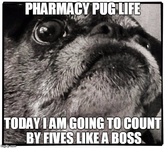 Pharmacy Pug Deep Thoughts | PHARMACY PUG LIFE TODAY I AM GOING TO COUNT BY FIVES LIKE A BOSS | image tagged in pharmacy pug | made w/ Imgflip meme maker
