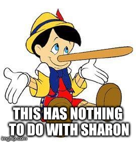 Pinocchio | THIS HAS NOTHING TO DO WITH SHARON | image tagged in pinocchio | made w/ Imgflip meme maker
