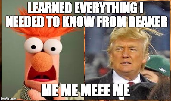 One Does Not Simply | LEARNED EVERYTHING I NEEDED TO KNOW FROM BEAKER ME ME MEEE ME | image tagged in memes,one does not simply | made w/ Imgflip meme maker