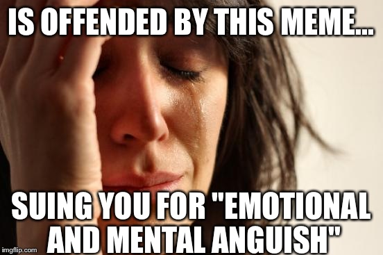 First World Problems Meme | IS OFFENDED BY THIS MEME... SUING YOU FOR "EMOTIONAL AND MENTAL ANGUISH" | image tagged in memes,first world problems | made w/ Imgflip meme maker