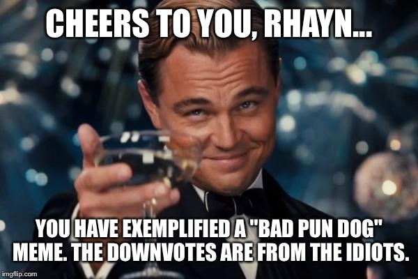Leonardo Dicaprio Cheers Meme | CHEERS TO YOU, RHAYN... YOU HAVE EXEMPLIFIED A "BAD PUN DOG" MEME. THE DOWNVOTES ARE FROM THE IDIOTS. | image tagged in memes,leonardo dicaprio cheers | made w/ Imgflip meme maker