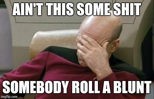 Captain Picard Facepalm Meme | AIN'T THIS SOME SHIT SOMEBODY ROLL A BLUNT | image tagged in memes,captain picard facepalm | made w/ Imgflip meme maker