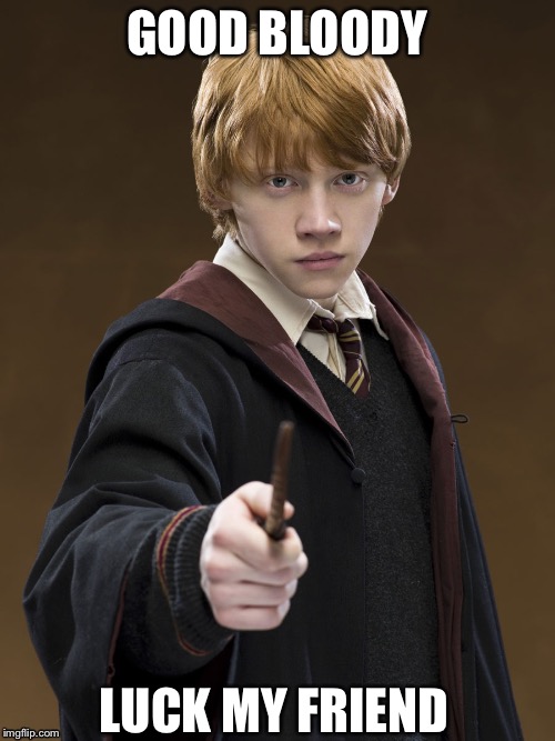 Ron Weasley Know It | GOOD BLOODY LUCK MY FRIEND | image tagged in ron weasley know it | made w/ Imgflip meme maker