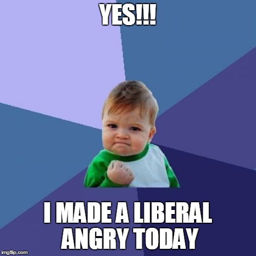 Success Kid Meme | YES!!! I MADE A LIBERAL ANGRY TODAY | image tagged in memes,success kid | made w/ Imgflip meme maker