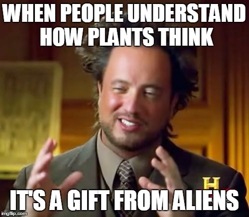 Ancient Aliens Meme | WHEN PEOPLE UNDERSTAND HOW PLANTS THINK IT'S A GIFT FROM ALIENS | image tagged in memes,ancient aliens | made w/ Imgflip meme maker