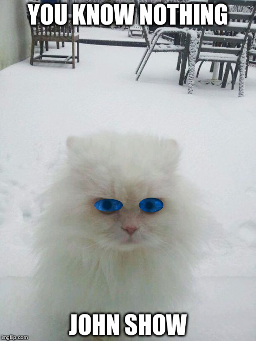 White Walker Kitty | YOU KNOW NOTHING JOHN SHOW | image tagged in game of thrones,white walker,cats | made w/ Imgflip meme maker