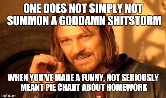 ONE DOES NOT SIMPLY NOT SUMMON A GO***MN SHITSTORM WHEN YOU'VE MADE A FUNNY, NOT SERIOUSLY MEANT PIE CHART ABOUT HOMEWORK | image tagged in memes,one does not simply | made w/ Imgflip meme maker
