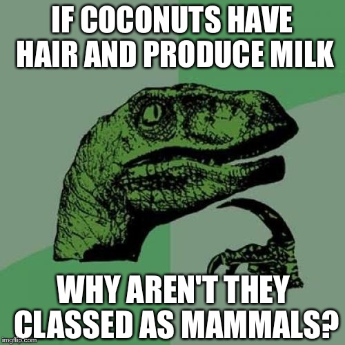 Mammal classification is nuts | IF COCONUTS HAVE HAIR AND PRODUCE MILK WHY AREN'T THEY CLASSED AS MAMMALS? | image tagged in memes,philosoraptor,coconuts,mammals | made w/ Imgflip meme maker