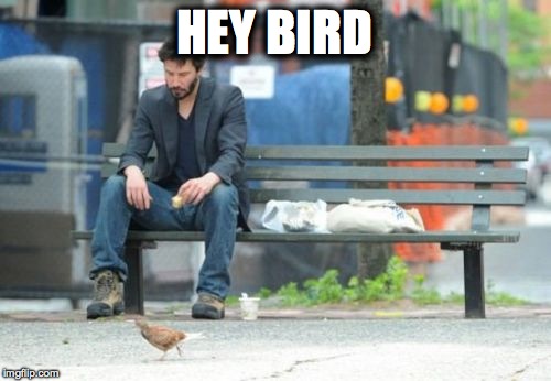 Sad Keanu | HEY BIRD | image tagged in memes,sad keanu | made w/ Imgflip meme maker
