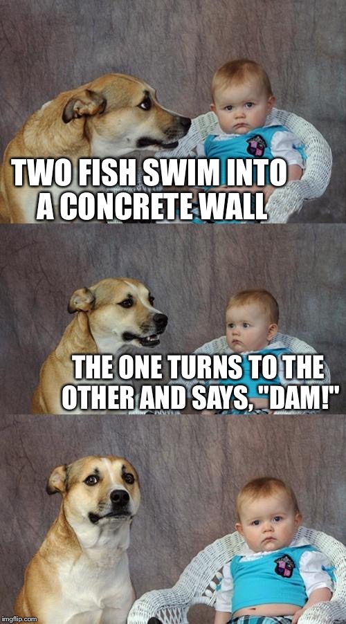 Dad Joke Dog Meme | TWO FISH SWIM INTO A CONCRETE WALL THE ONE TURNS TO THE OTHER AND SAYS, "DAM!" | image tagged in memes,dad joke dog | made w/ Imgflip meme maker