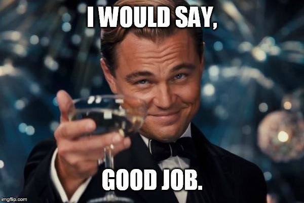 Leonardo Dicaprio Cheers Meme | I WOULD SAY, GOOD JOB. | image tagged in memes,leonardo dicaprio cheers | made w/ Imgflip meme maker