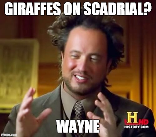 Ancient Aliens Meme | GIRAFFES ON SCADRIAL? WAYNE | image tagged in memes,ancient aliens | made w/ Imgflip meme maker