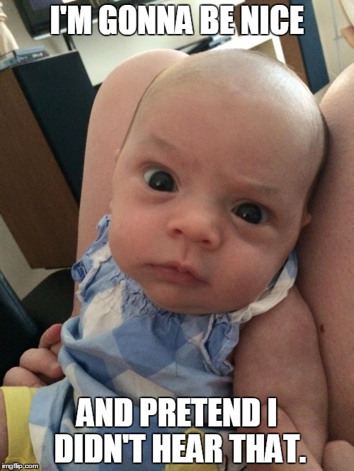I'M GONNA BE NICE AND PRETEND I DIDN'T HEAR THAT. | image tagged in seriously face,skeptical baby | made w/ Imgflip meme maker