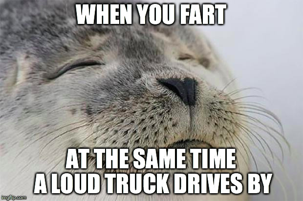 Satisfied Seal Meme | WHEN YOU FART AT THE SAME TIME A LOUD TRUCK DRIVES BY | image tagged in memes,satisfied seal | made w/ Imgflip meme maker