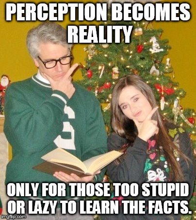 PERCEPTION BECOMES REALITY ONLY FOR THOSE TOO STUPID OR LAZY TO LEARN THE FACTS. | image tagged in perception | made w/ Imgflip meme maker