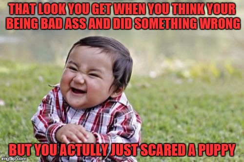 Evil Toddler Meme | THAT LOOK YOU GET WHEN YOU THINK YOUR BEING BAD ASS AND DID SOMETHING WRONG BUT YOU ACTULLY JUST SCARED A PUPPY | image tagged in memes,evil toddler | made w/ Imgflip meme maker