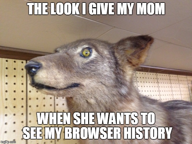 THE LOOK I GIVE MY MOM WHEN SHE WANTS TO SEE MY BROWSER HISTORY | image tagged in the look i give | made w/ Imgflip meme maker
