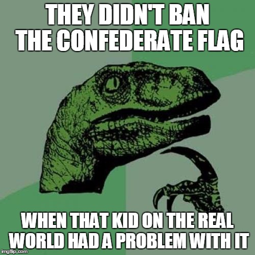 Philosoraptor Meme | THEY DIDN'T BAN THE CONFEDERATE FLAG WHEN THAT KID ON THE REAL WORLD HAD A PROBLEM WITH IT | image tagged in memes,philosoraptor | made w/ Imgflip meme maker
