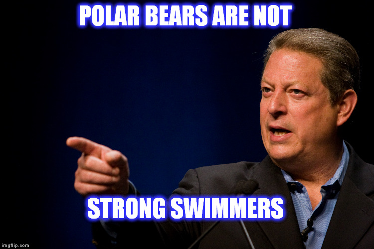 Al Gore on climate change | POLAR BEARS ARE NOT STRONG SWIMMERS | image tagged in al gore,climate change | made w/ Imgflip meme maker