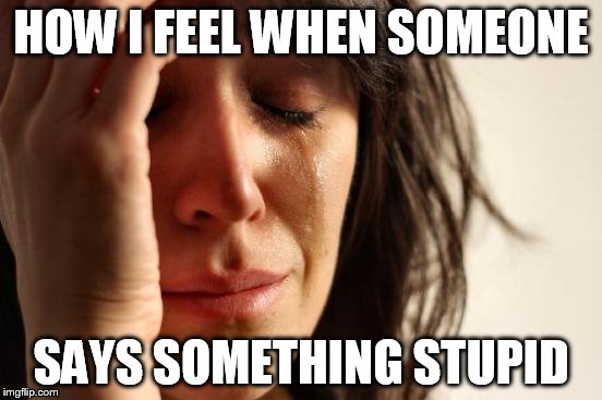 First World Problems Meme | HOW I FEEL WHEN SOMEONE SAYS SOMETHING STUPID | image tagged in memes,first world problems | made w/ Imgflip meme maker