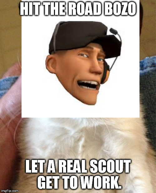 Grumpy Scout | HIT THE ROAD BOZO LET A REAL SCOUT GET TO WORK. | image tagged in grumpy cat,scout | made w/ Imgflip meme maker
