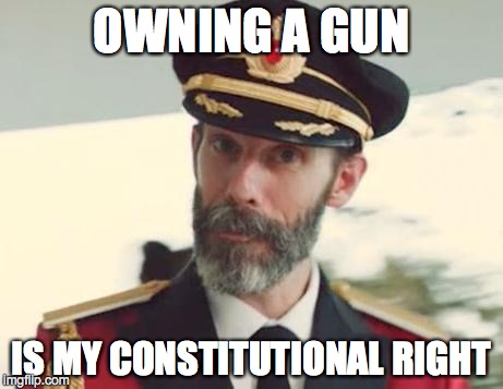 Obvious | OWNING A GUN IS MY CONSTITUTIONAL RIGHT | image tagged in obvious | made w/ Imgflip meme maker