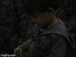 image tagged in gifs | made w/ Imgflip video-to-gif maker