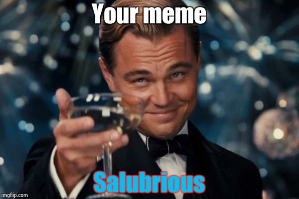 Leonardo Dicaprio Cheers Meme | Your meme Salubrious | image tagged in memes,leonardo dicaprio cheers | made w/ Imgflip meme maker