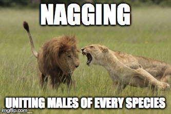 Nagging Lioness | NAGGING UNITING MALES OF EVERY SPECIES | image tagged in nagging,nag,lion,lioness | made w/ Imgflip meme maker