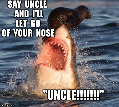 Travelonshark | SAY  UNCLE  AND  I'LL  LET  GO  OF  YOUR  NOSE "UNCLE!!!!!!!" | image tagged in memes,travelonshark | made w/ Imgflip meme maker