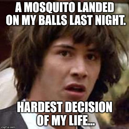 What would you do? | A MOSQUITO LANDED ON MY BALLS LAST NIGHT. HARDEST DECISION OF MY LIFE... | image tagged in memes,conspiracy keanu | made w/ Imgflip meme maker