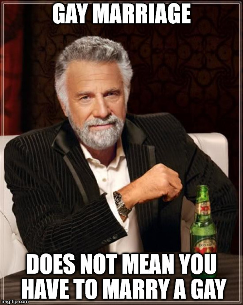 Precisely | GAY MARRIAGE DOES NOT MEAN YOU HAVE TO MARRY A GAY | image tagged in memes,the most interesting man in the world | made w/ Imgflip meme maker