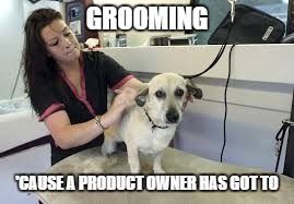 Grooming | GROOMING 'CAUSE A PRODUCT OWNER HAS GOT TO | image tagged in dog | made w/ Imgflip meme maker